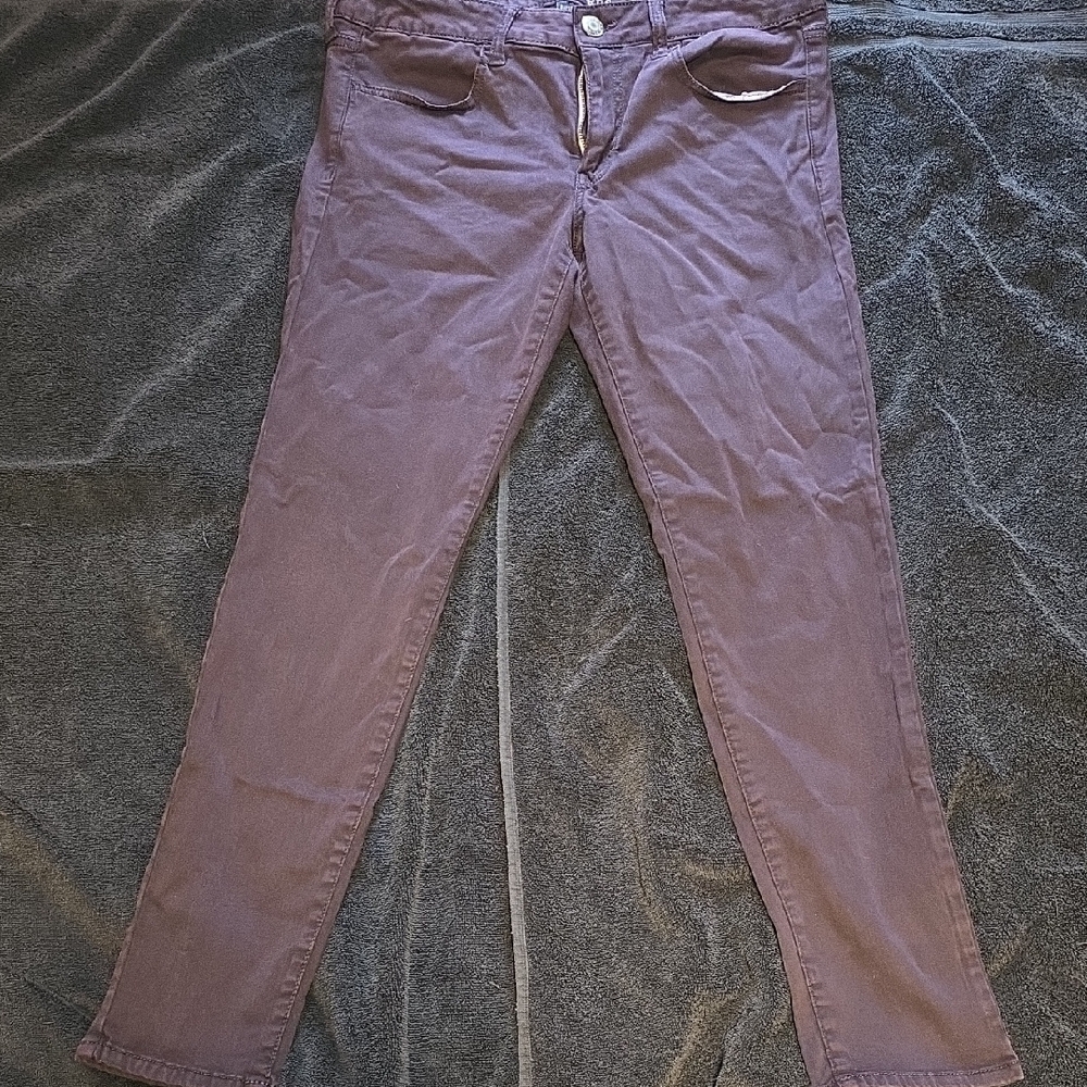 AMERICAN EAGLE Women's Purple Jeggings